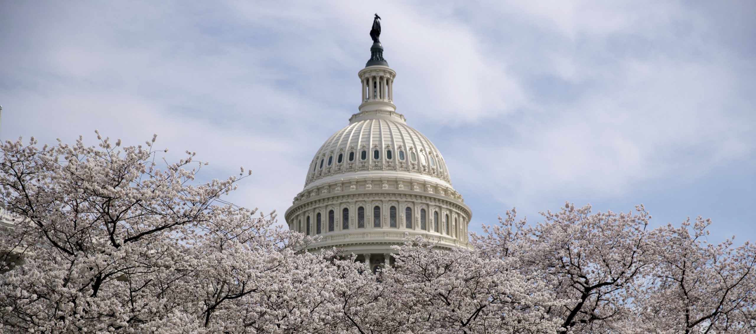 Proxy voting likely finished if Republicans win midterm elections