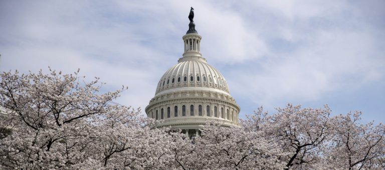 Proxy voting likely finished if Republicans win midterm elections