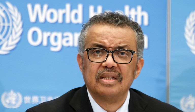 Why accountability at the WHO matters