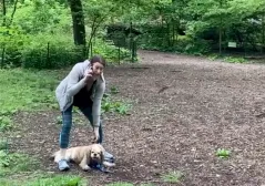 Charge against Amy Cooper dropped after she completes therapy sessions on racial bias