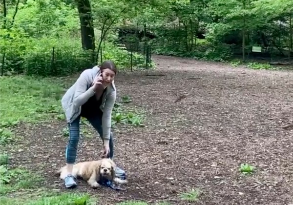 The Central Park woman’s racism is no excuse for denying sexism