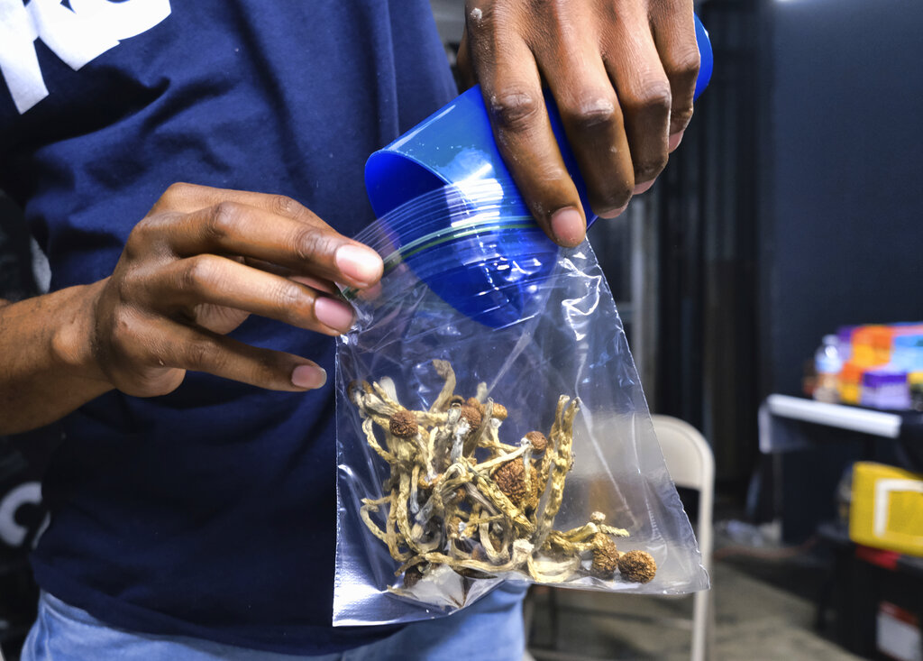 Psychedelics caucus launched to research benefits of mushrooms and LSD