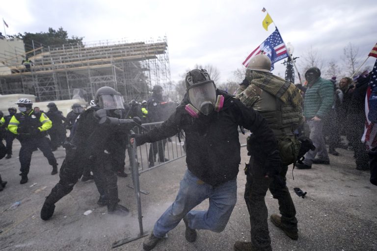 Was the Capitol attack a coup, insurrection, or domestic terrorism?