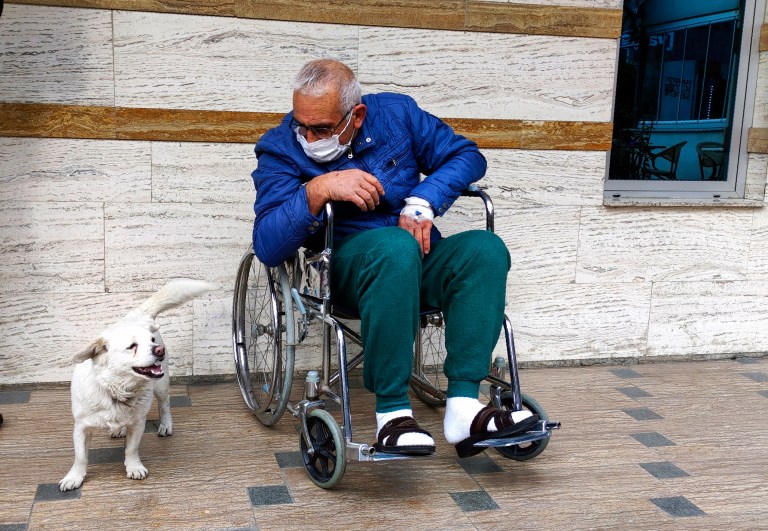 Loyal dog waits for owner for days outside hospital