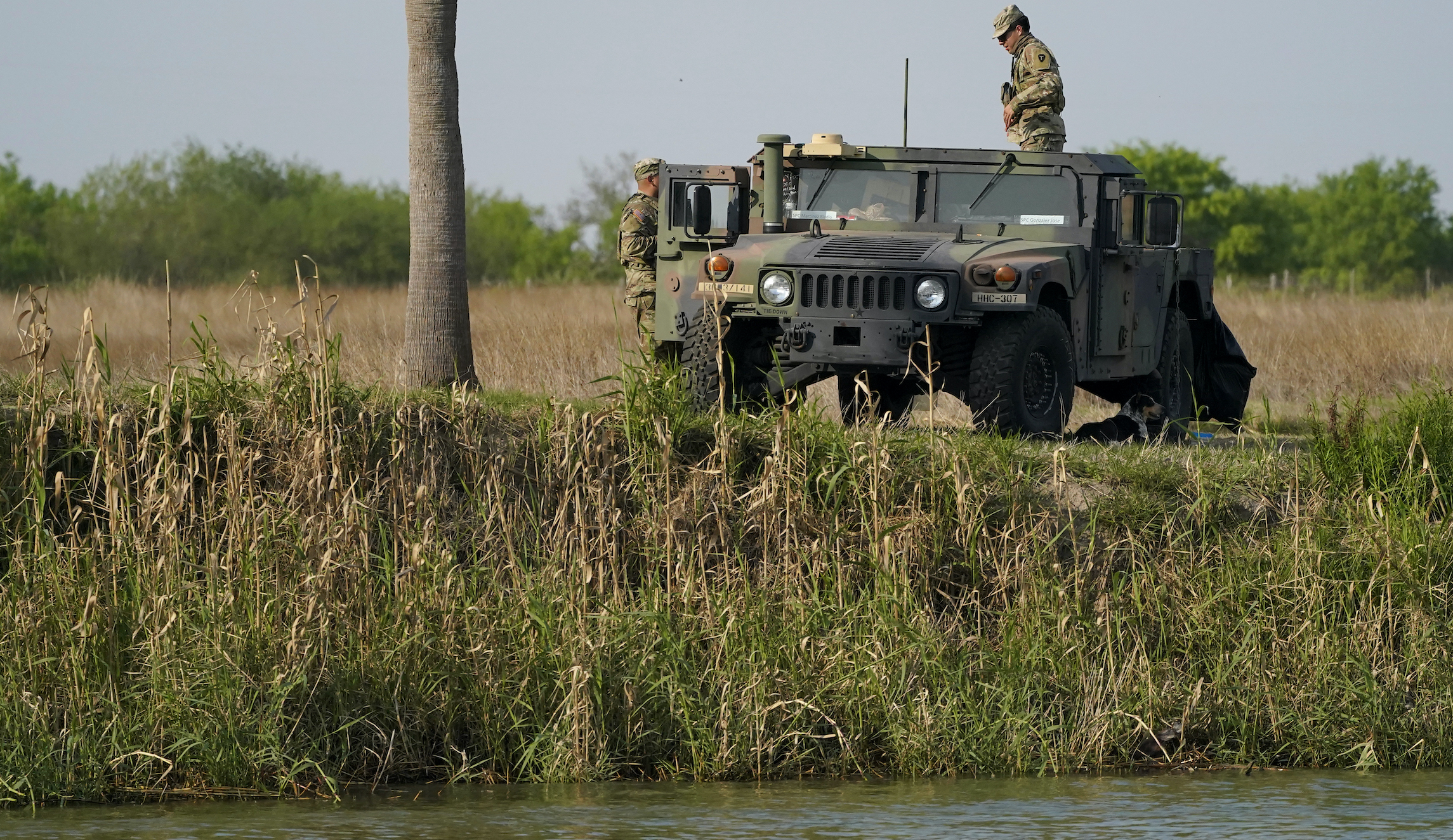 Texas National Guard have apprehended tens of thousands of illegal immigrants at Mexican border