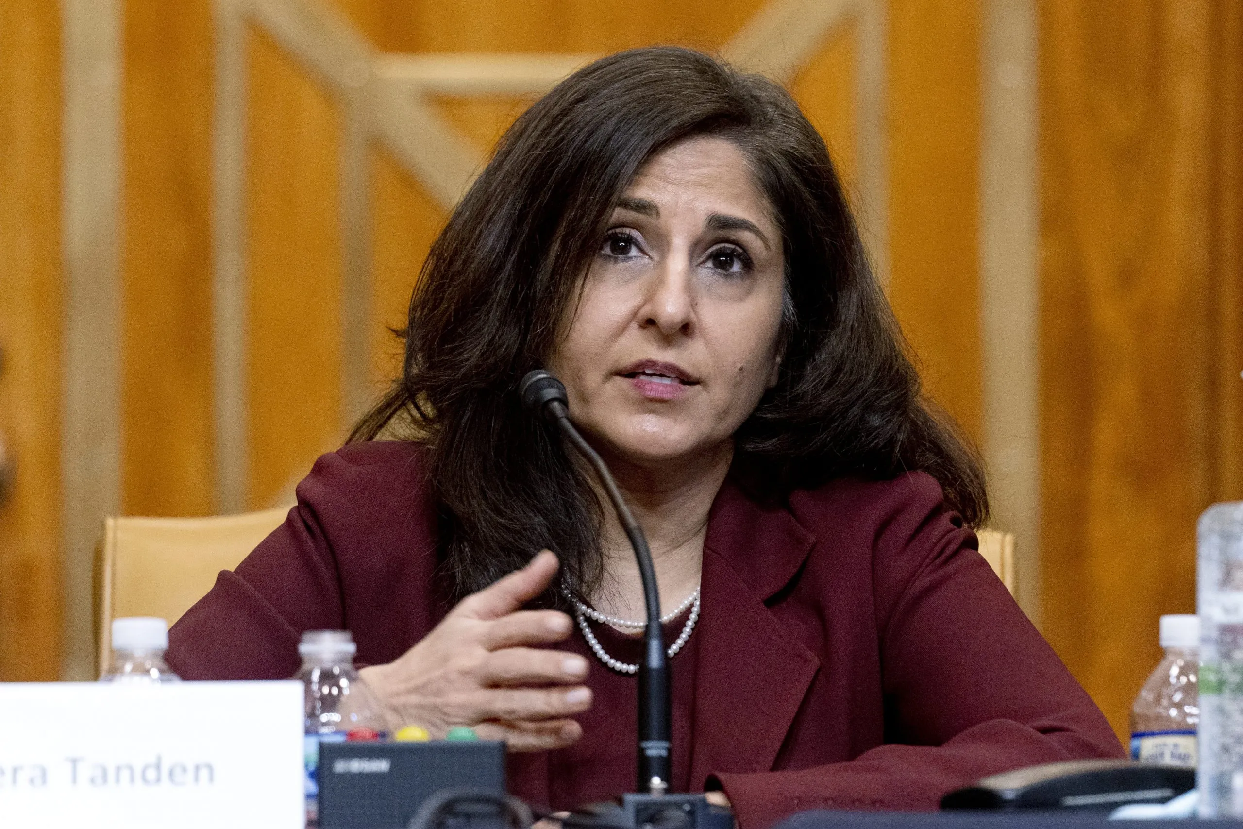 Neera Tanden elevated to White House domestic policy adviser