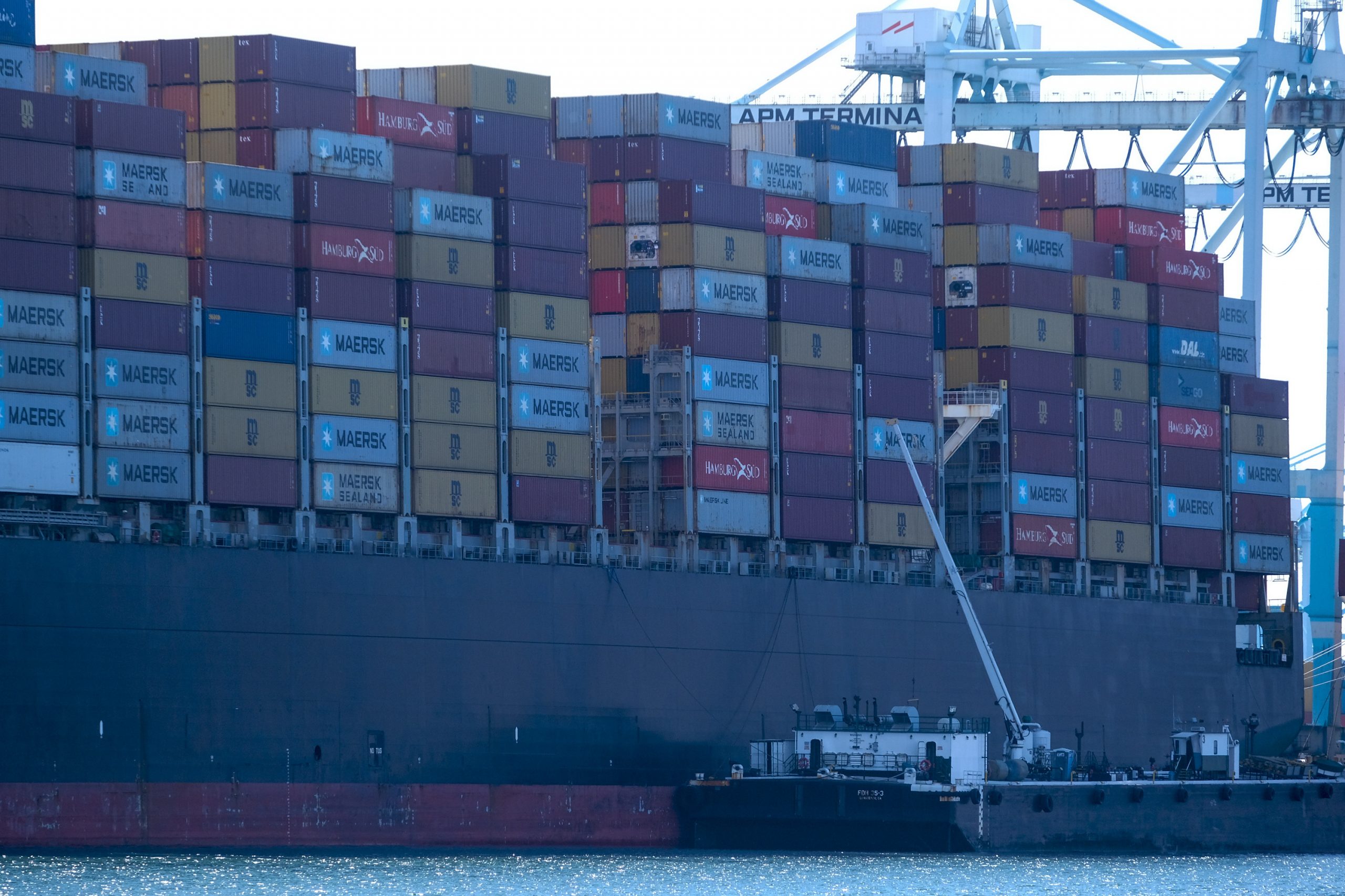 John Tamny discusses how central planning worsened the supply chain crisis