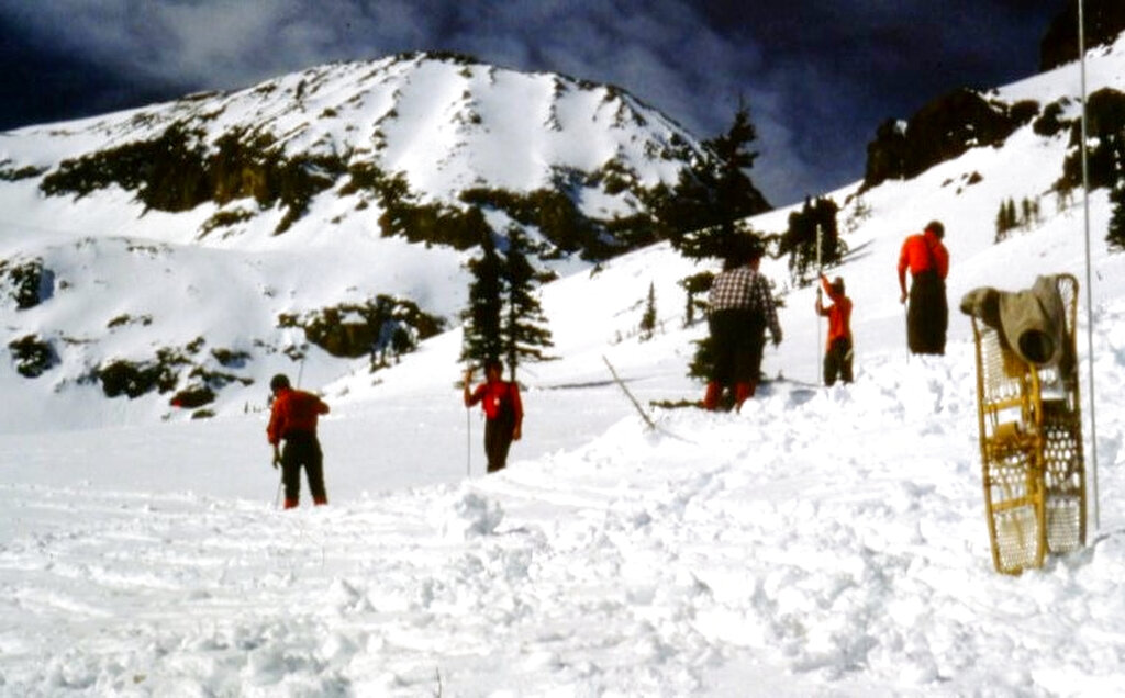 Human remains found by hiker believed to belong to German man missing for 38 years