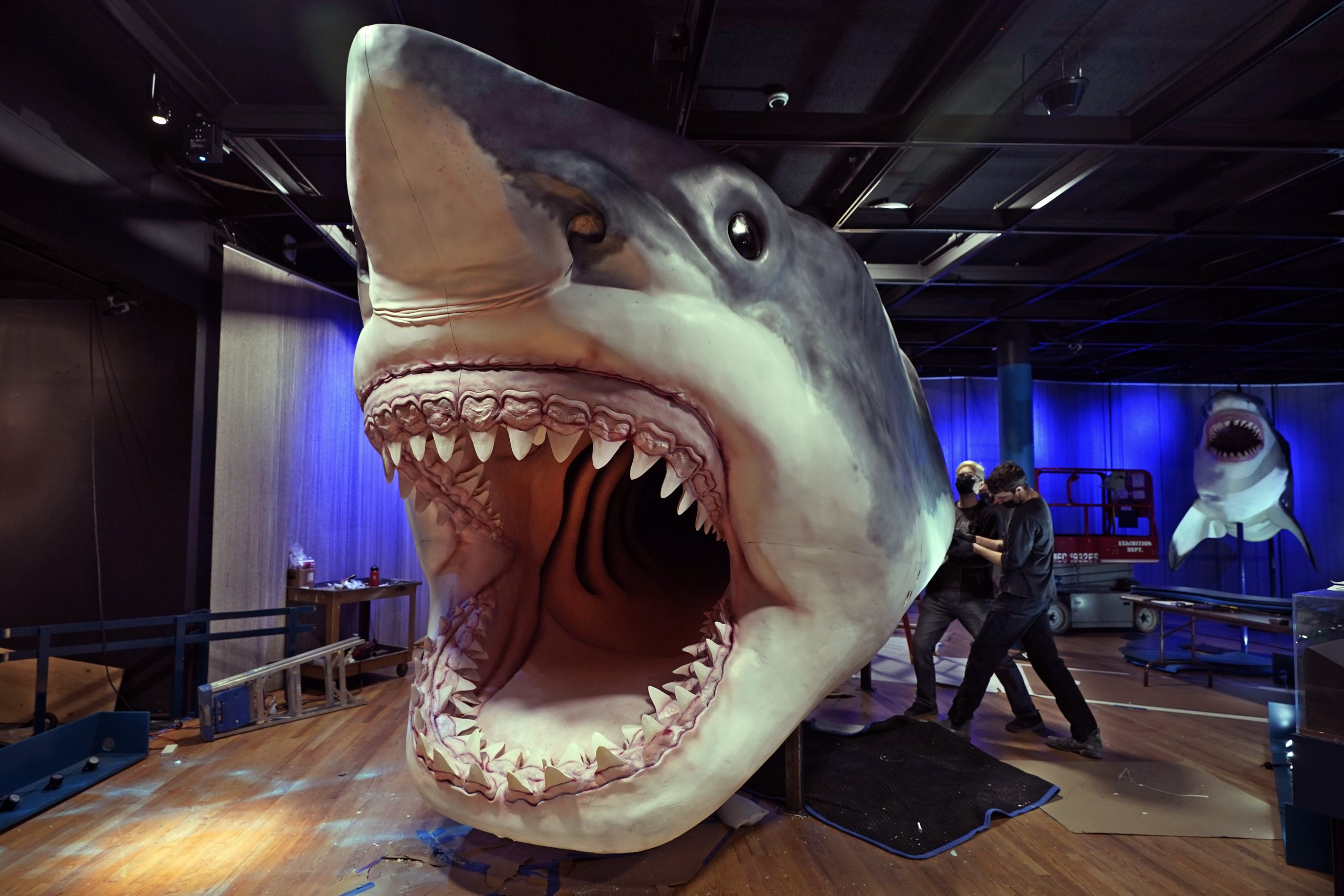 Show and tell: Boy shocks class with 3 million-year-old shark tooth discovery