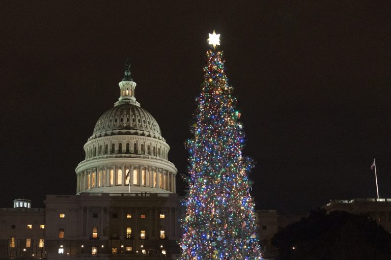 Capitol Christmas tree makes journey to Washington