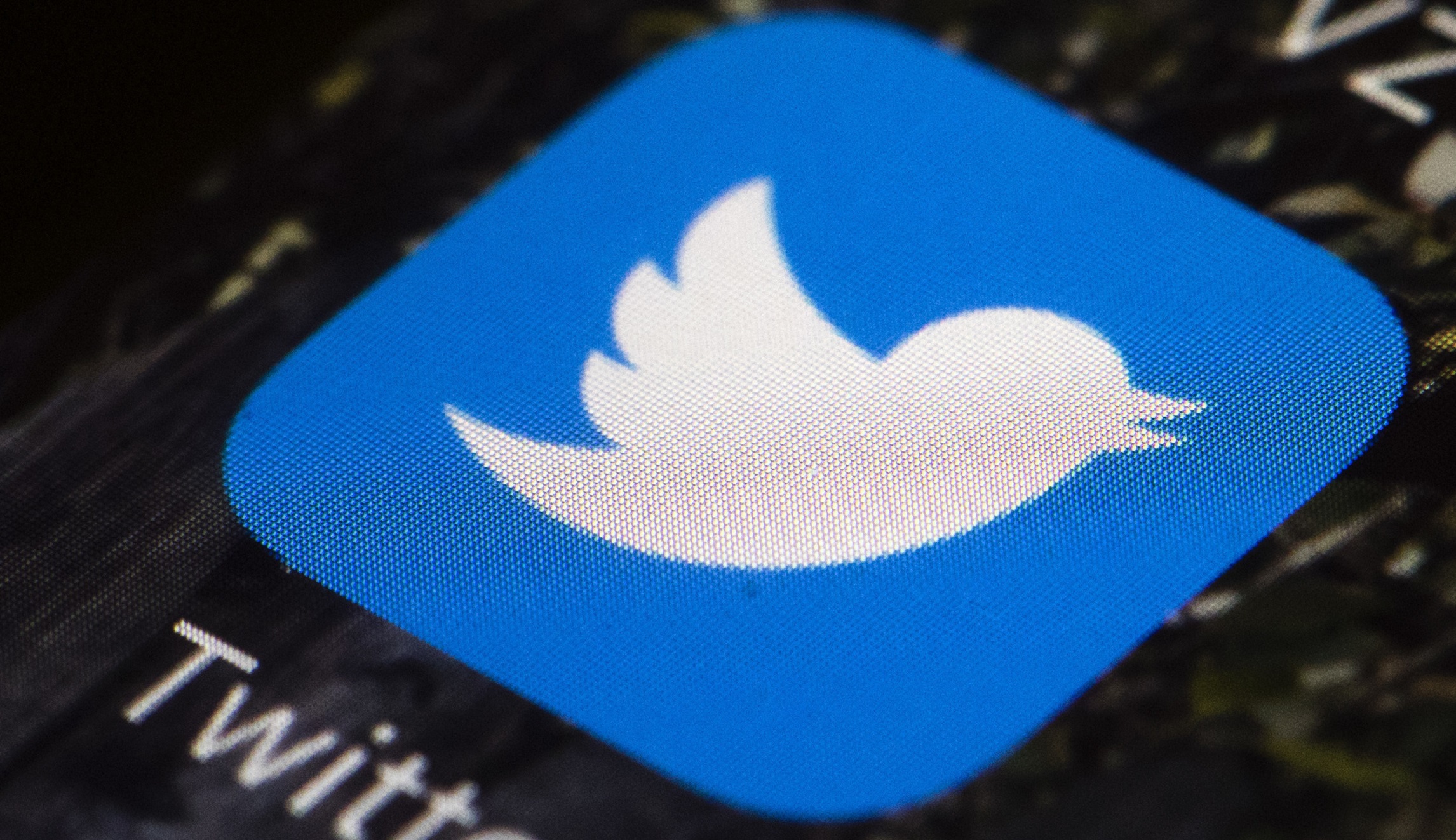 Twitter troll’s election interference trial delayed after alleged witness intimidation
