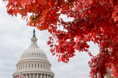 GOP lawmaker’s ballot mix-up shook up outcome of House GOP whip race