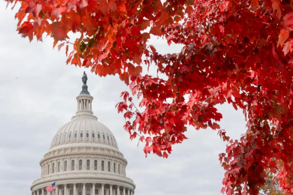 GOP lawmaker’s ballot mix-up shook up outcome of House GOP whip race