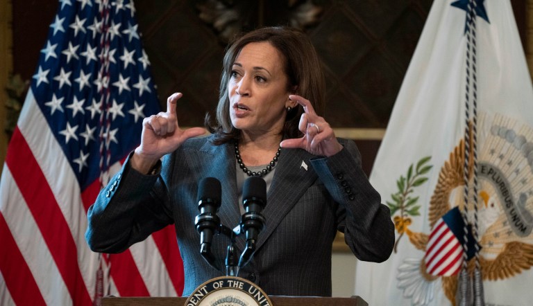 Vice President Kamala Harris speaks during a roundtable with government leaders and private sector representatives to advance efforts to address the root causes of migration from northern Central America in the Indian Treaty Room of the Eisenhower Executive Office Building on the White House complex, in Washington, Monday, Feb. 6, 2023. 