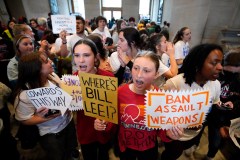 Tennessee House Republicans push back on ‘red flag’ legislation, call it a ‘non-starter’