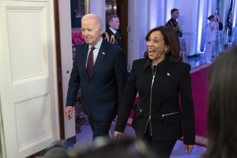 Tech difficulties and a ‘frog’ crash Harris’s debt ceiling briefing