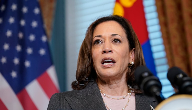 Vice President Kamala Harris spun July's underwhelming jobs report into a strong endorsement of President Joe Biden's economic platform.
