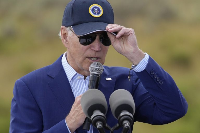 Biden swats insect off of reporter during climate change interview: ‘You have a bug on you’