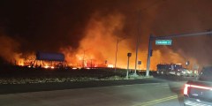 Maui losses at $11 million a day since fires