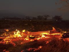 Science is real. Climate reporters apparently just don’t bother to read it