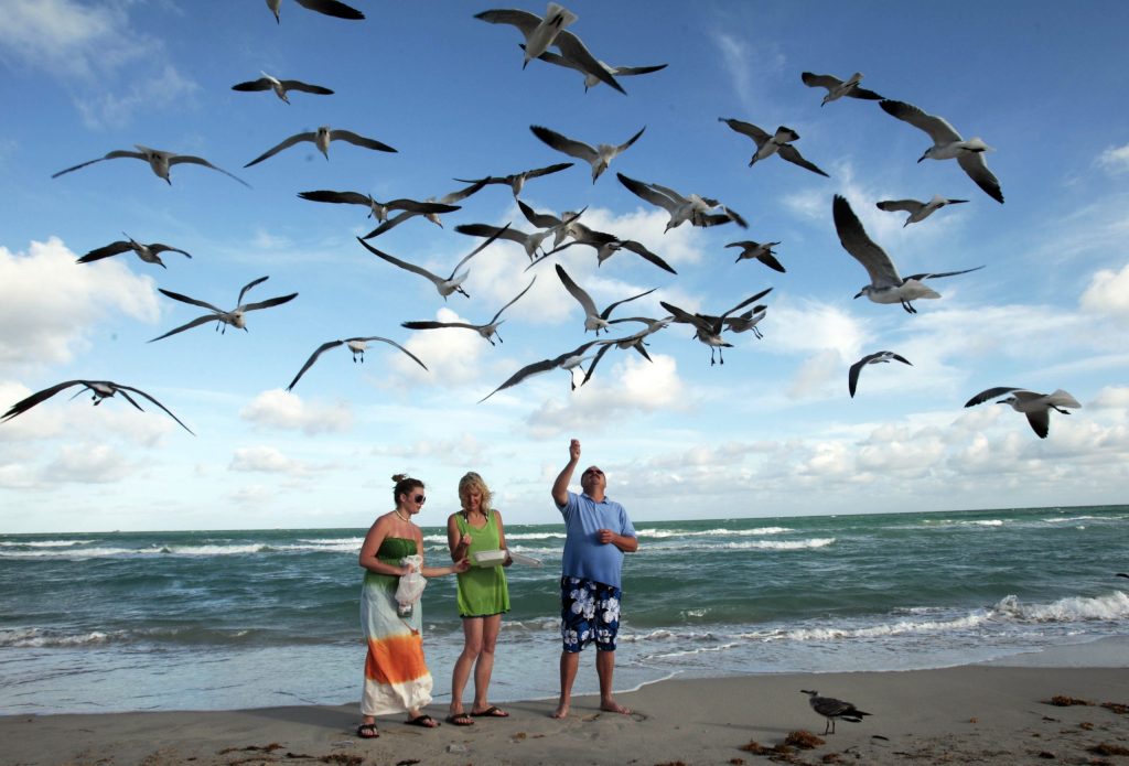 Miami: 5 free things to do while you are here