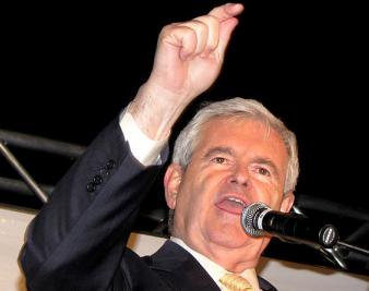 Newt for President?