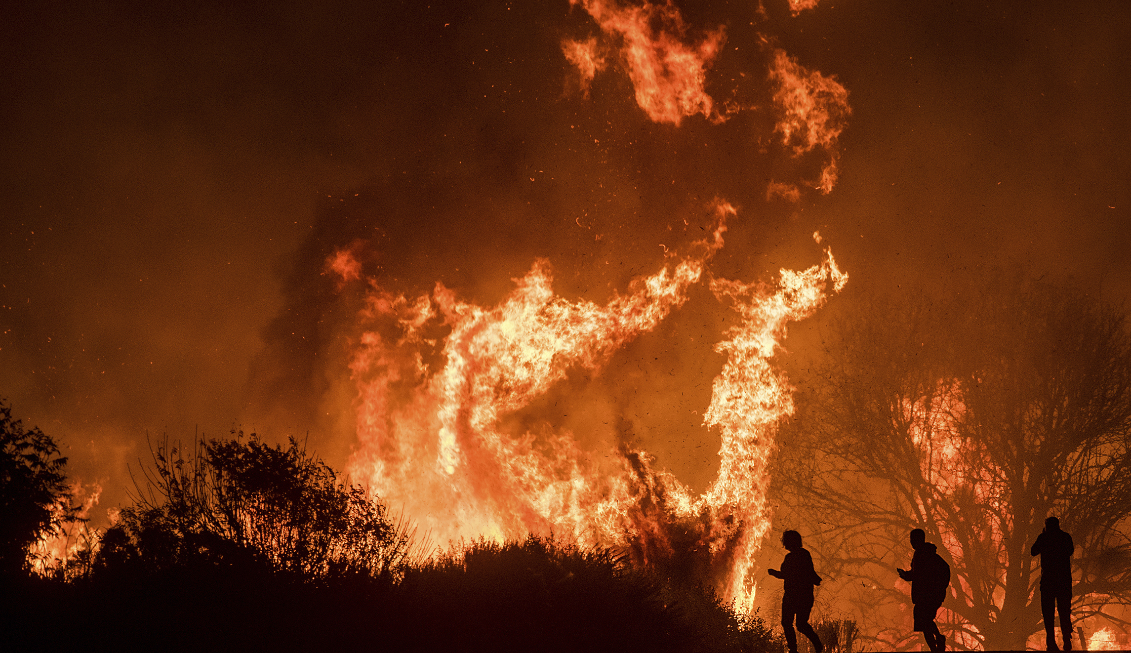 Trump declares federal emergency for wildfires in Southern California