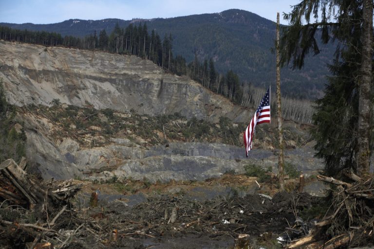 An American flag hangs from the only cedar post left standing at the scene of a deadly mudslide, Monday, March 31, 2014, in Oso, Wash. (AP Photo/The Herald, Sofia Jaramillo, Pool)