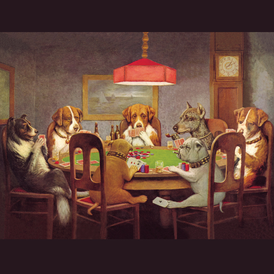 Social Animals