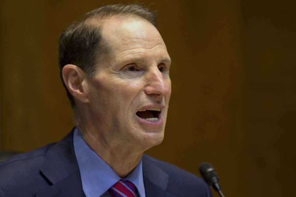 Democratic senators: Obama was ‘misleading’ about NSA surveillance