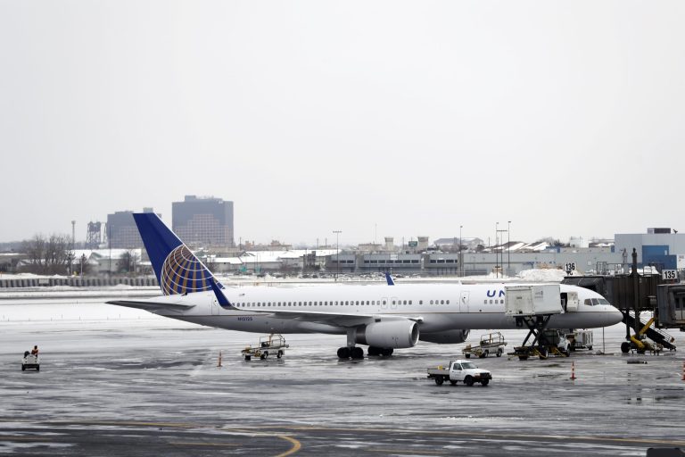A United Airlines plane is parked at a gate at Newark Liberty International Airport, Wednesday, March 15, 2017, in Newark, N.J. (AP Photo/Julio Cortez)