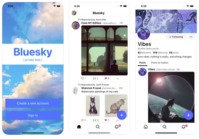 Bluesky in App Store