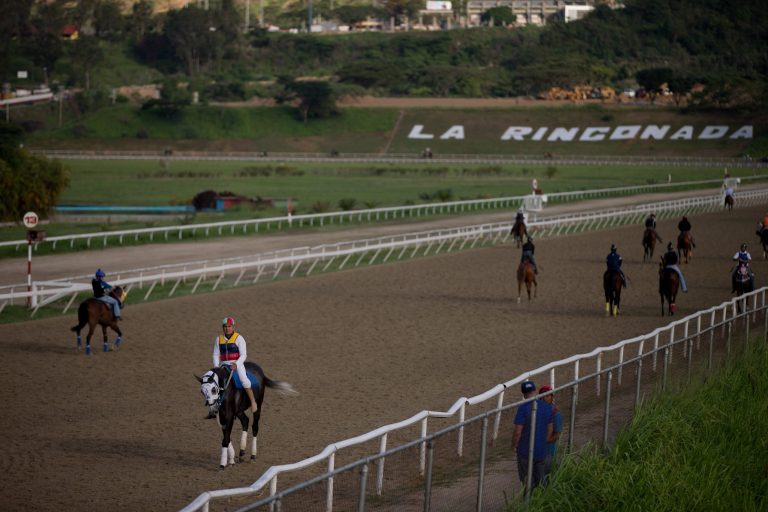 AP PHOTOS: Horse poisoning alarms Venezuela racing