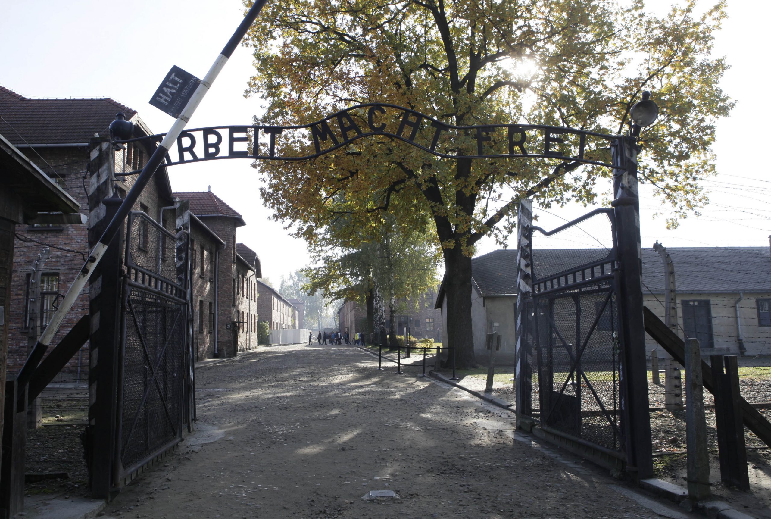 German court says Nazi suspect unfit for trial