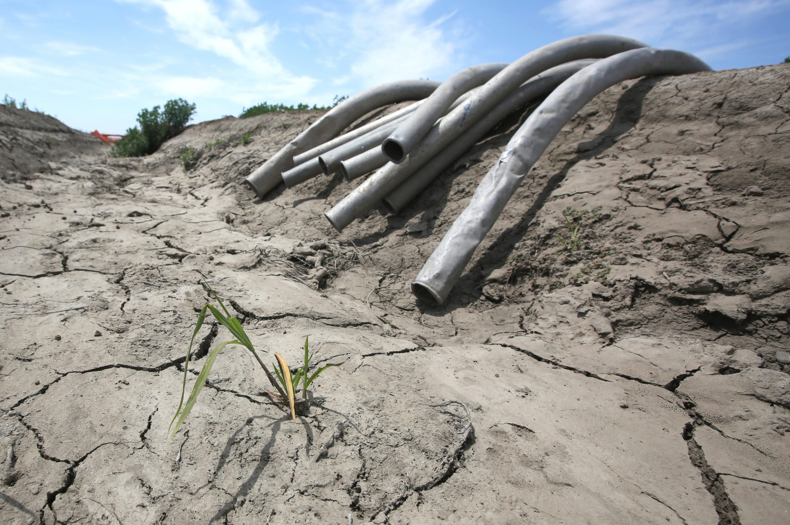 California Republicans propose drought relief bill