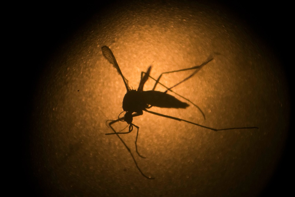 Senate passes $1.1 billion in new Zika funding