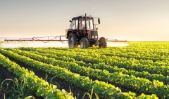 Farmers and fishermen most likely to commit suicide