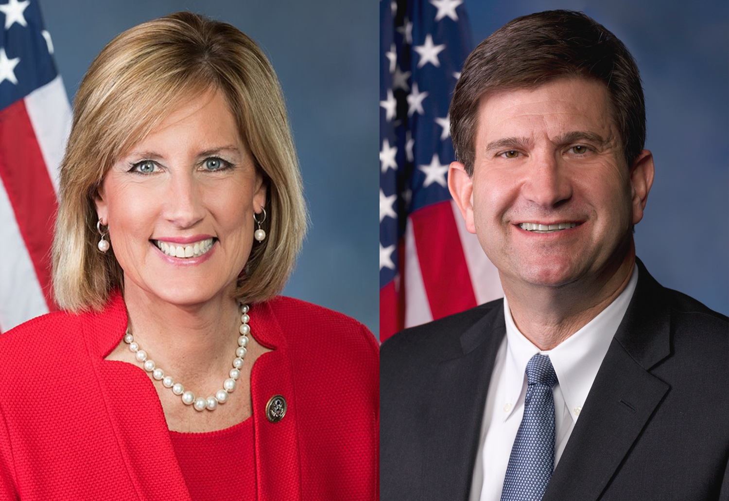 Lawmakers from both parties will sit together at congressional baseball game in display of unity