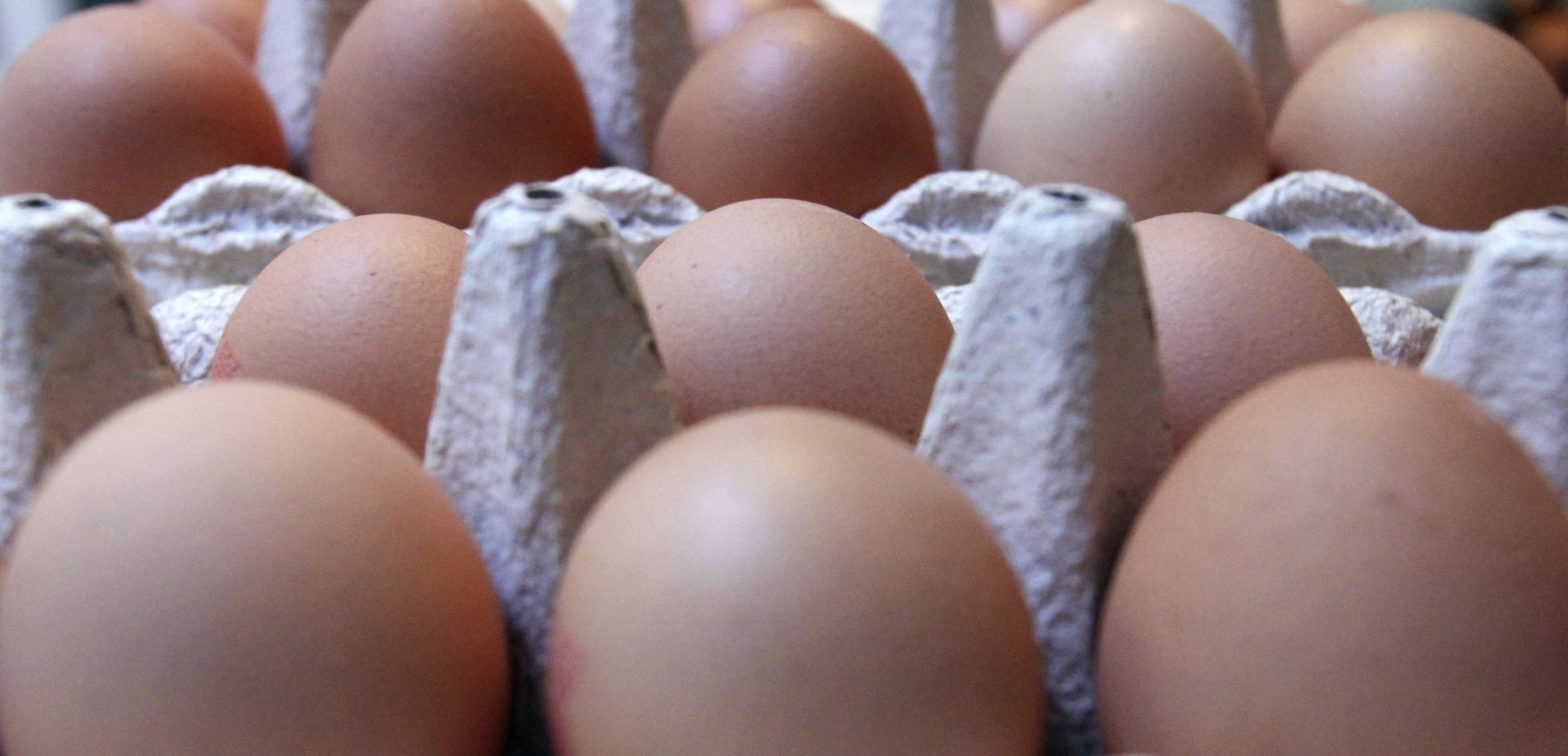 Egg prices spike nationwide thanks to bird flu