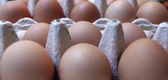 Egg company sees 718% profit surge as prices soar