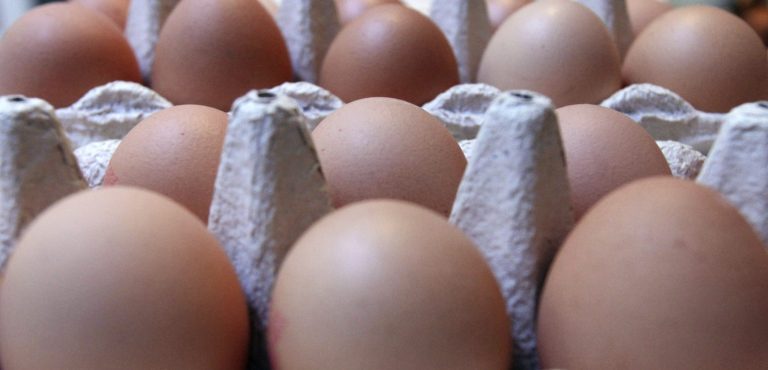 Bird flu wreaked havoc on the price of eggs in 2022, and it looks like the pain will continue well into 2023.