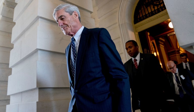 Robert Mueller is authorized to investigate "any links and/or coordination between the Russian government and individuals associated with the campaign of President Donald Trump." Mueller was also authorized to investigate "any matters that arose or may arise directly from the investigation."