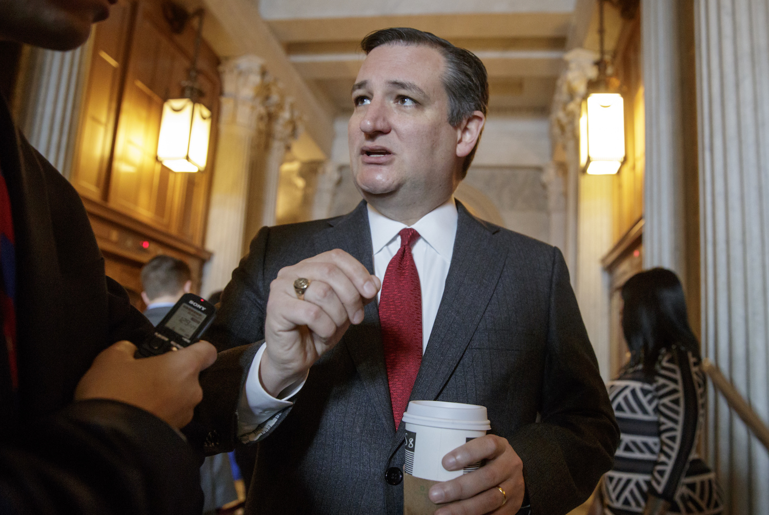 Ted Cruz: Healthcare bill can be fixed