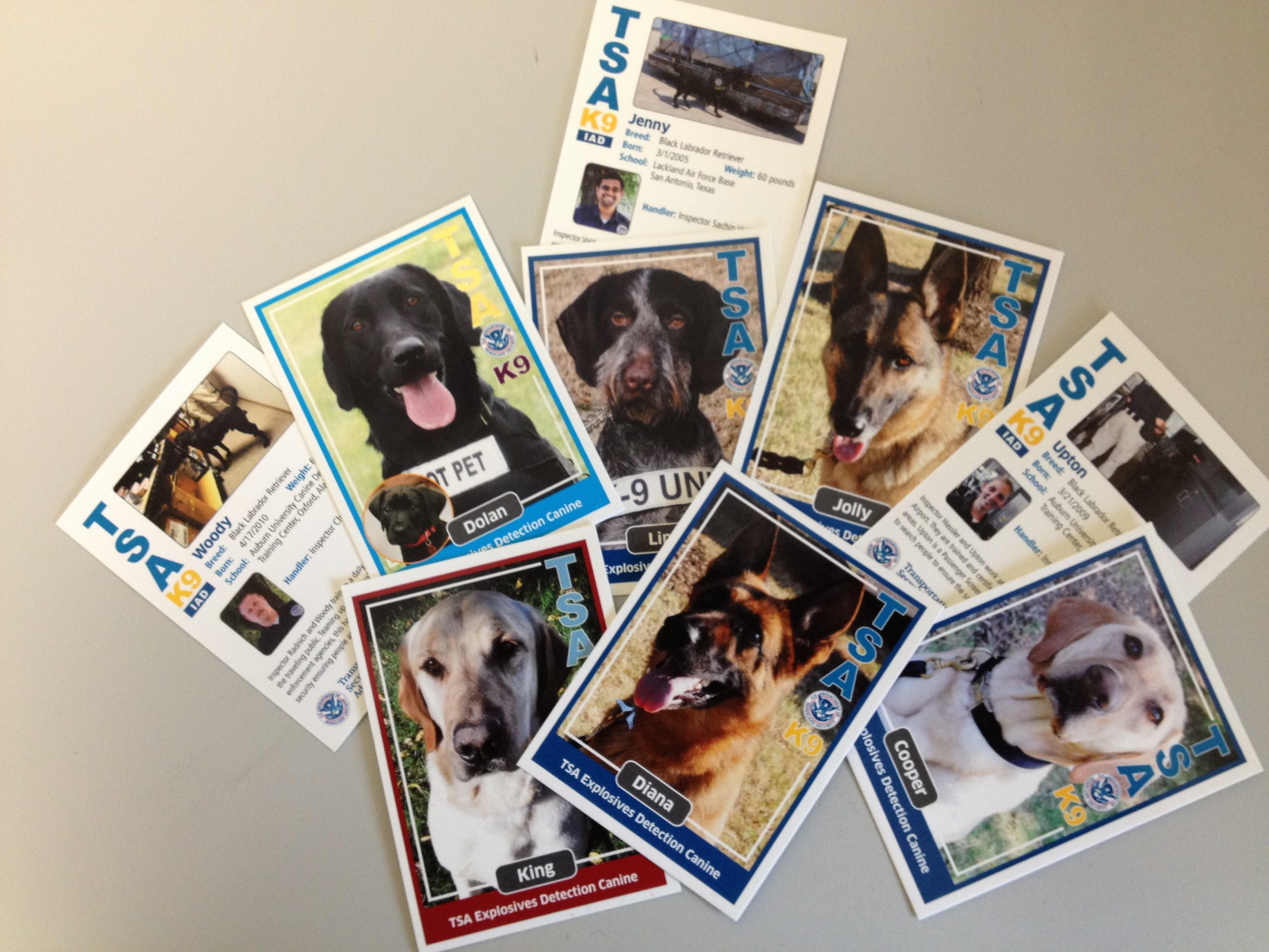 Canine trading cards, group of cards.JPG