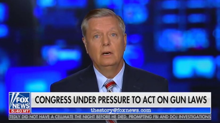 ‘Second Amendment is not a suicide pact’: Lindsey Graham expresses support for ‘red flag’ laws