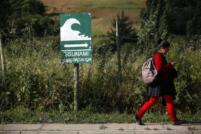   In this photo taken Nov. 29, 2012, a student walks past a sign indicating an evacuation route in the event of a tsunami, in Navidad, Chile. The road to the town of Navidad (Christmas in Spanish) is lined by a forest of eucalyptus trees and wildflowers that grow around painted tsunami warning signs that urge residents to build their homes high or dash for higher ground in case of a quake. (AP Photo/Luis Hidalgo)  