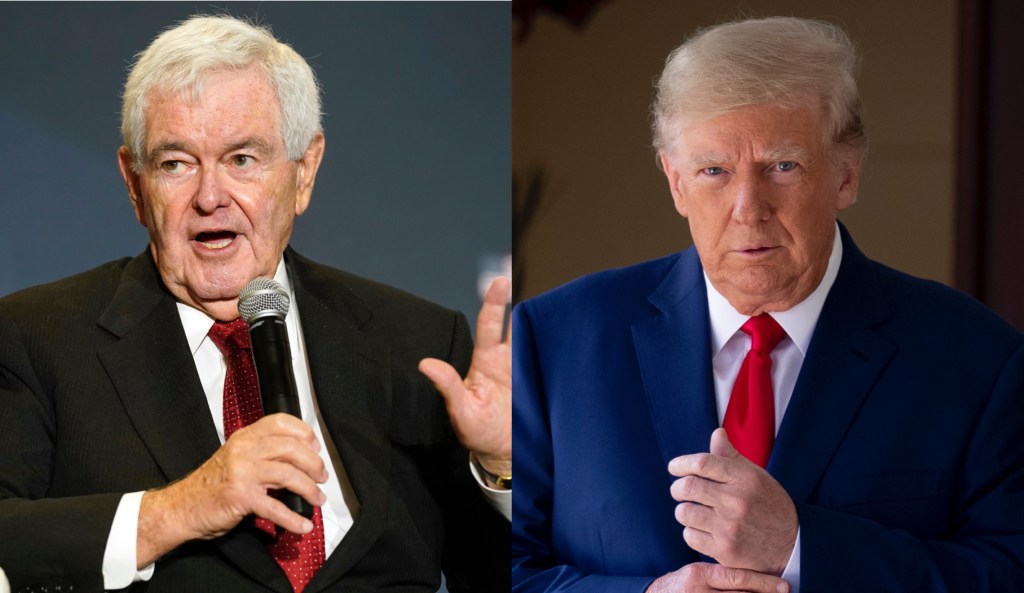 Newt Gingrich suspects Trump is reconsidering a 2024 run after midterm results