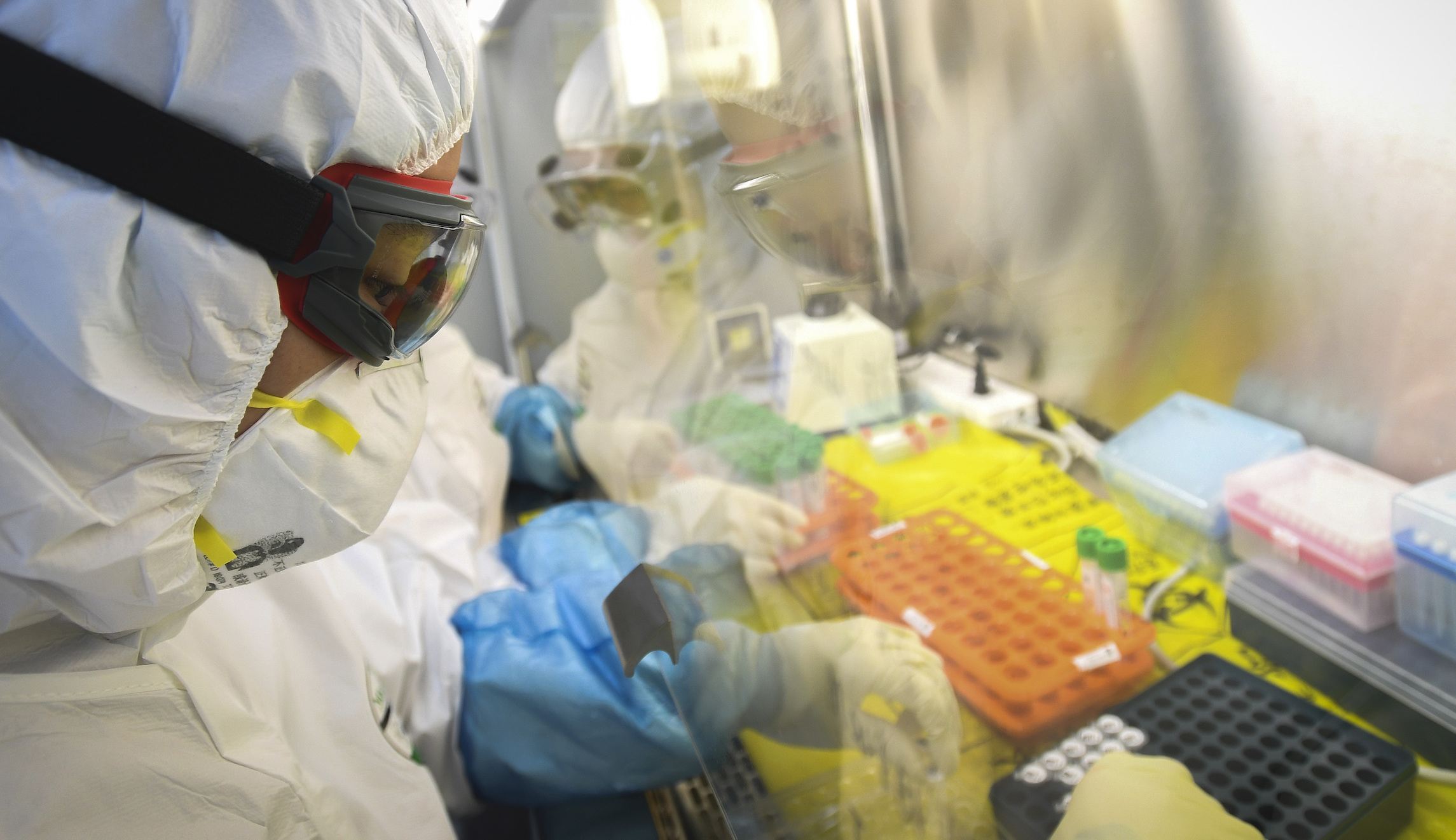 FDA grants emergency approval for coronavirus test that could speed up diagnostics tenfold