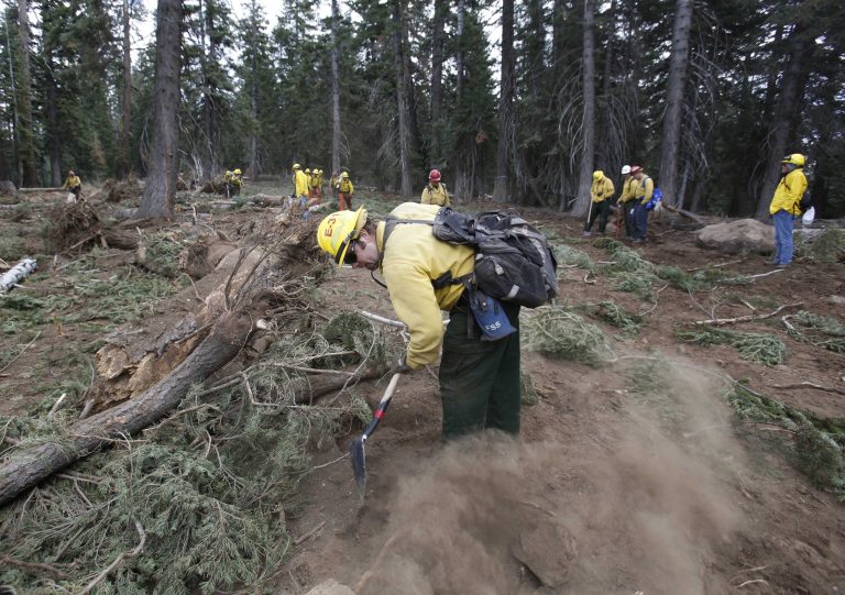 FILE - In this Sept. 25, 2013 file photo, Scott Small, and other National Forest Service crew members work to restore terrain that was bulldozed for a firebreak in the battle against Rim Fire on a nordic ski trail along Dodge Ridge in the Stanislaus National Forest, near Tuolumne City, Calif. The Forest Service says it will release a final decision Wednesday, Aug. 27, 2014, on how much timber to log from the Sierra Nevada's largest wildfire in recorded history. Last year's Rim Fire burned 400 square miles including parts of Yosemite. A debate has since raged about sending burned and dead trees to lumber mills or leave them and let nature take its course. (AP Photo/Rich Pedroncelli, File)