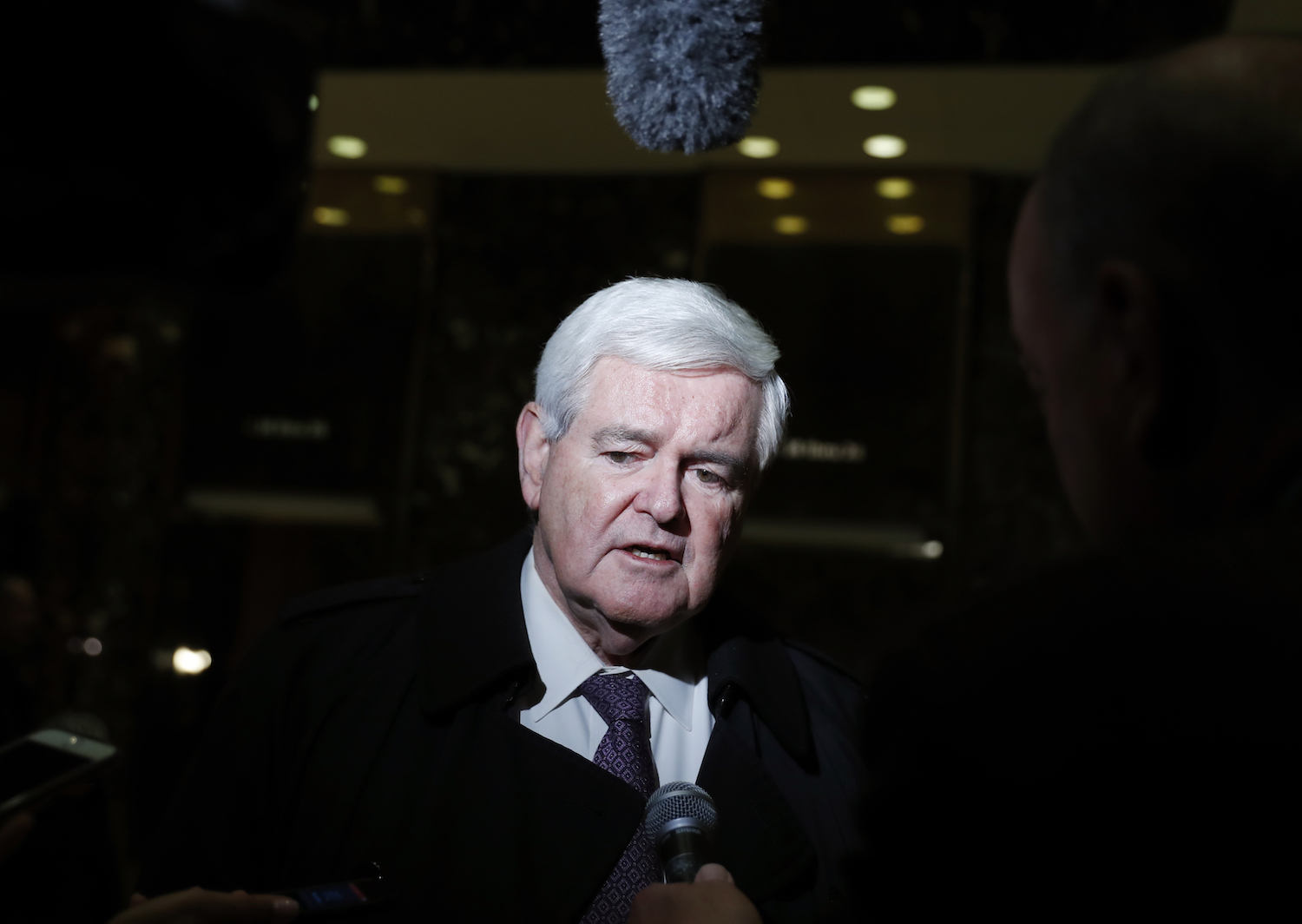 Gingrich: Trump to face ‘great crisis’ with bureaucrats
